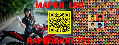 прущие крисы Камышлов