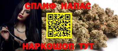 прущие крисы Камышлов
