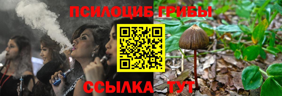 Псилоцибиновые грибы MAGIC MUSHROOMS Лесосибирск